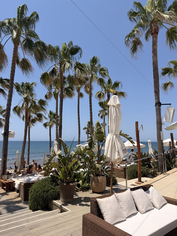Palm-lined beach club in Marbella